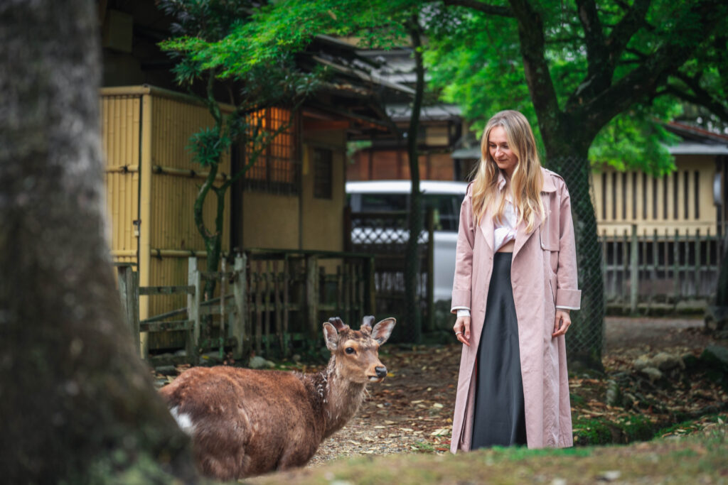 female traveler facing a deer in Nara Japan