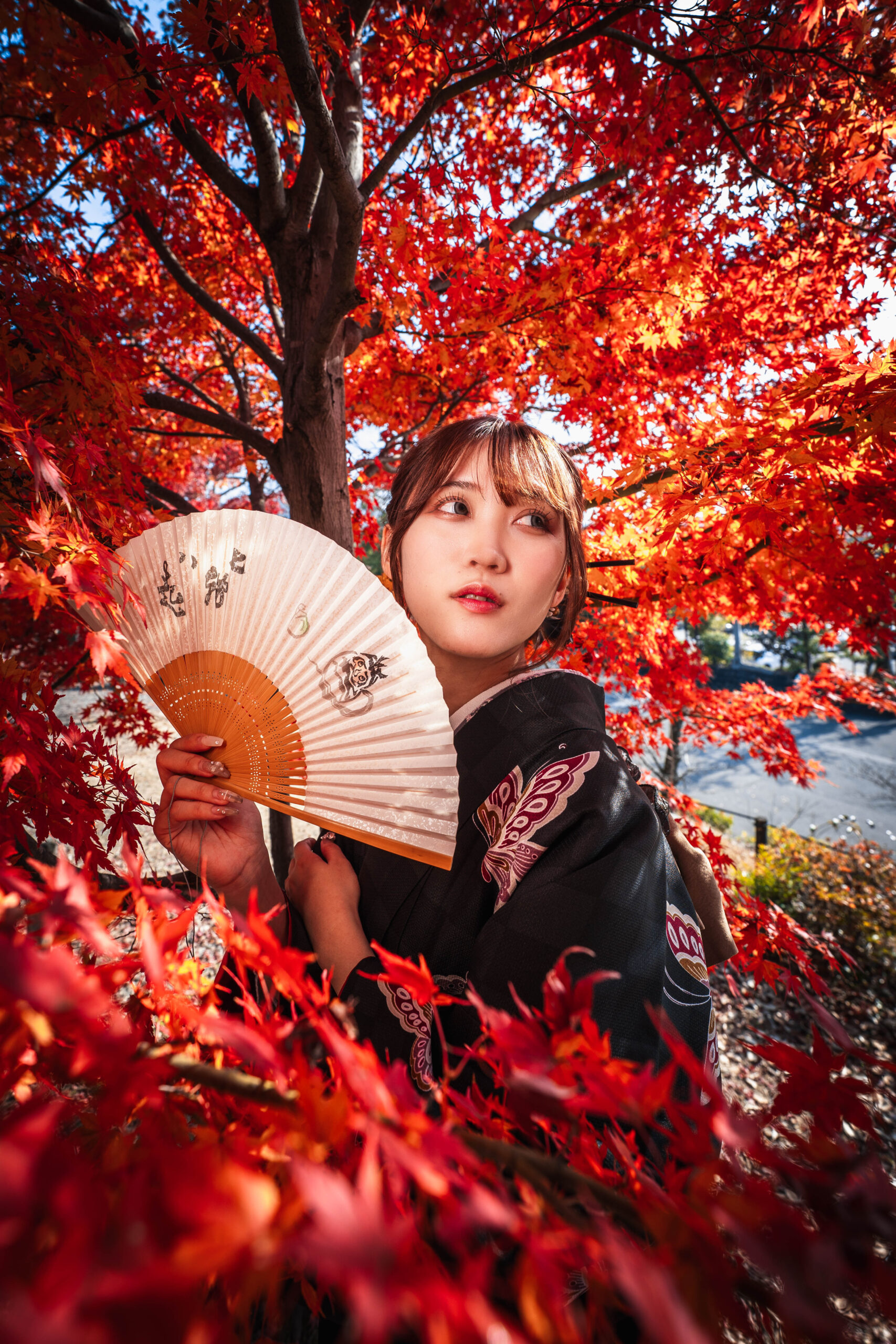 female portrait in kimono surrounded by autumn leaves in Kyoto