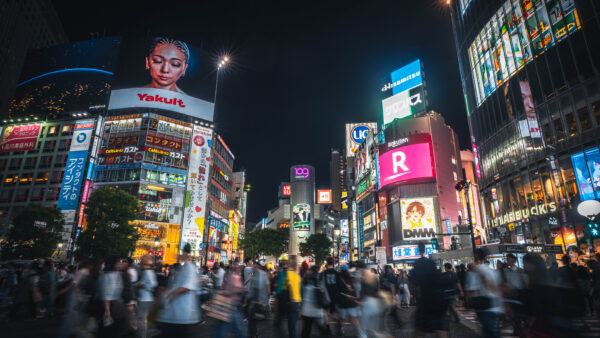 Best Photoshoot Locations in Tokyo | Real Couple Session Examples