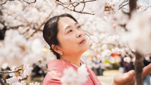 Capturing the Magic: A Professional Guide to Kyoto Cherry Blossom Photoshoots in 2026